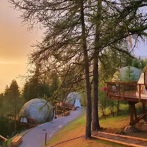 3* Hotel Alpin D'home &